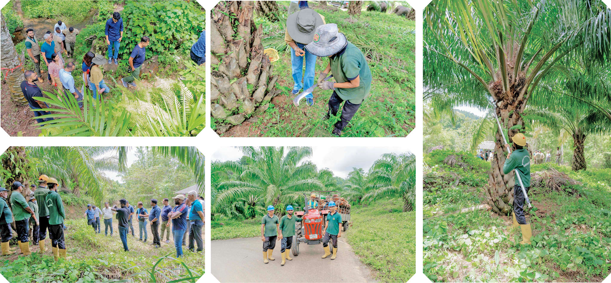 POIA Chief Operating Officer Yajith de Silva presenting facts during the plantation visit