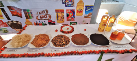 Oil palm cultivation symposium