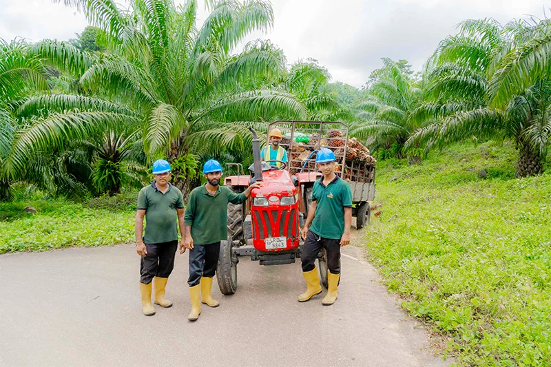 Oil palm policy must follow evidence, not assumptions: POIA